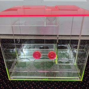 Drunk Elephant Neon Case